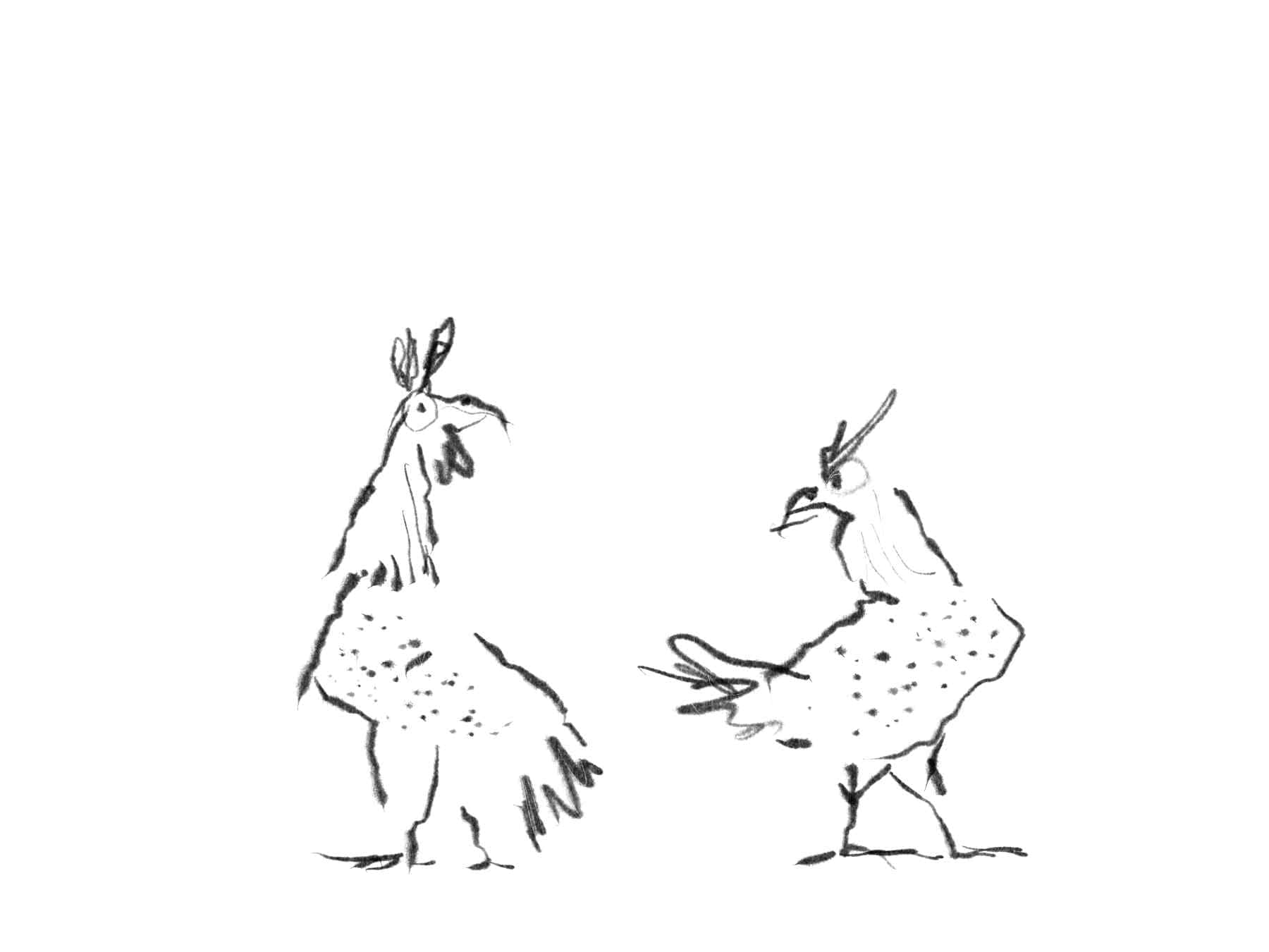 rooster hen